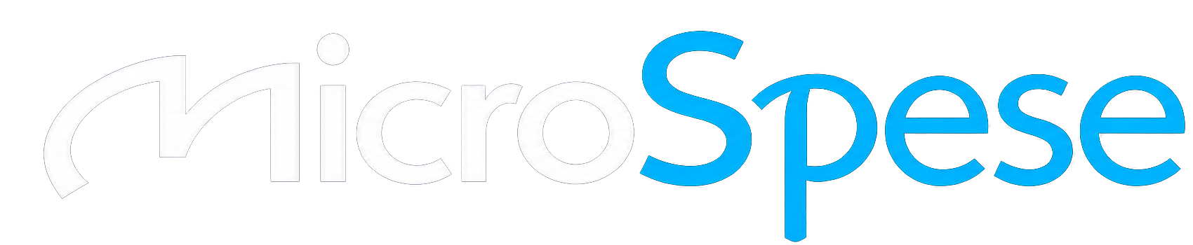 MicroSpese